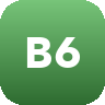 BG 666 logo